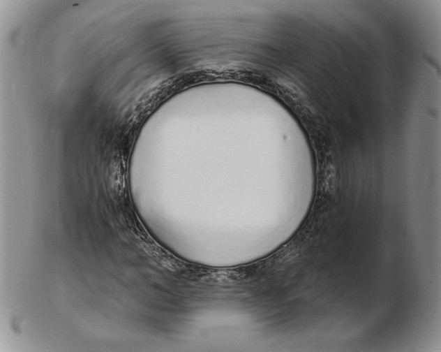 X0000102370966200808221735