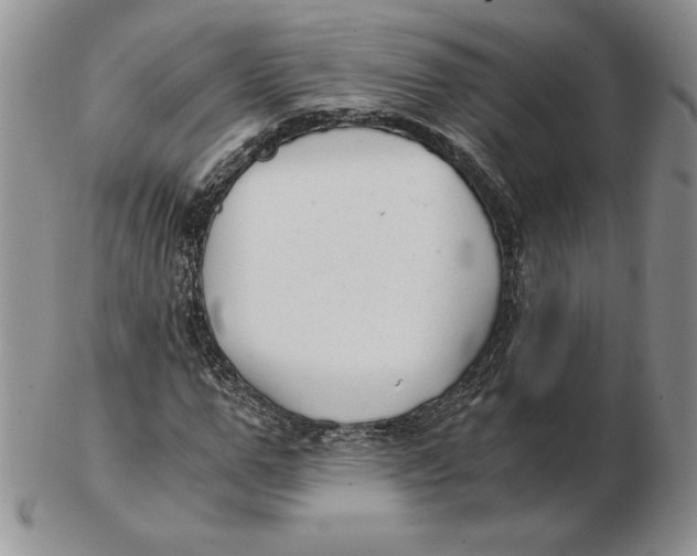 X0000102370967200808221735