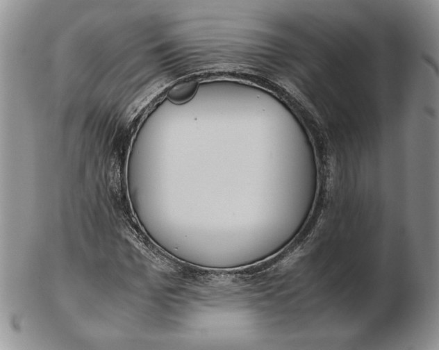 X0000102370969200808221735