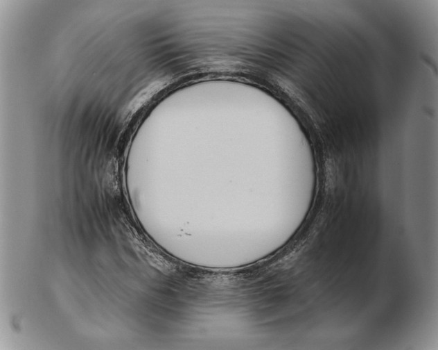 X0000102370970200808221735