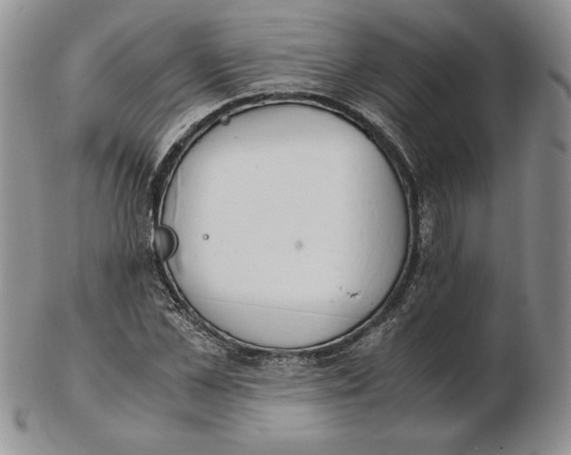 X0000102370973200808221735