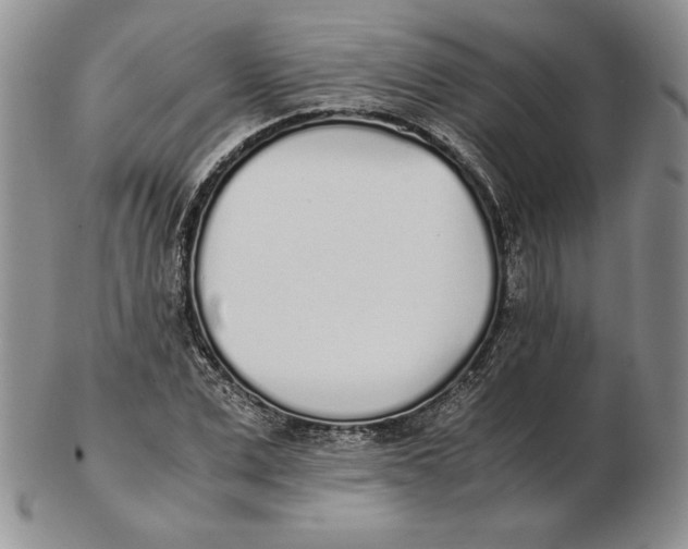 X0000102370975200808221735