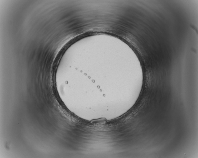 X0000102370976200808221735