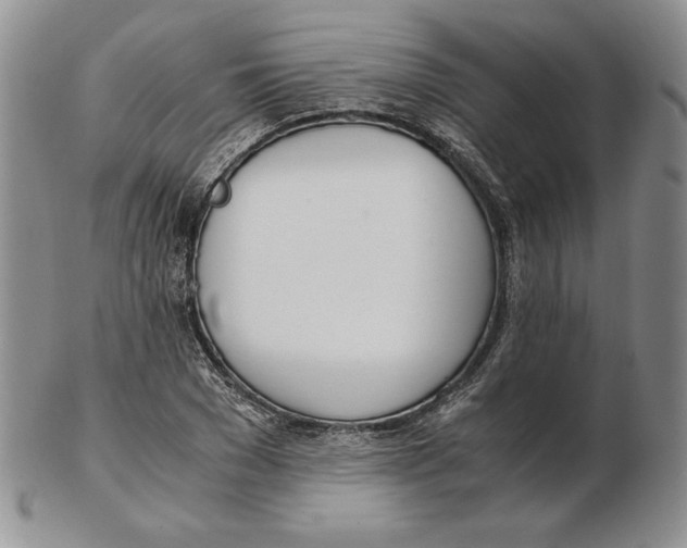 X0000102370977200808221735