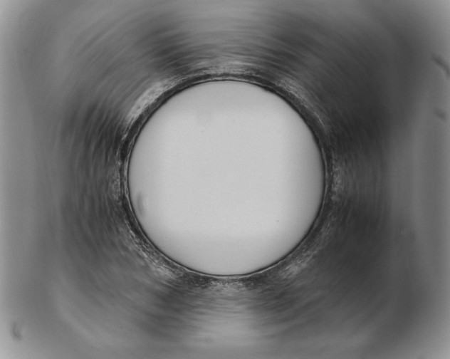 X0000102370978200808221735