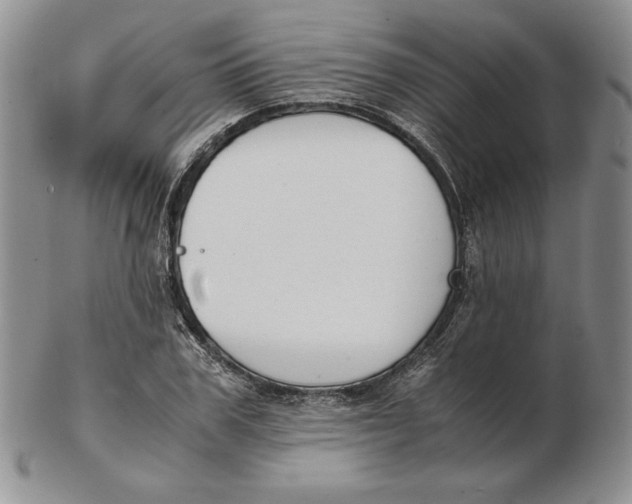 X0000102370979200808221735