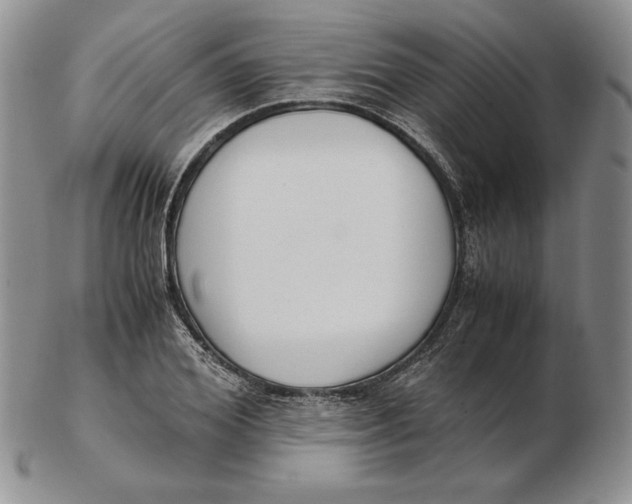 X0000102370980200808221735