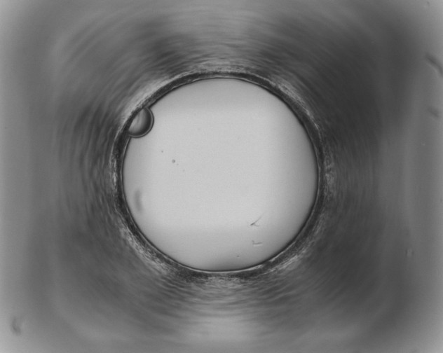 X0000102370981200808221735