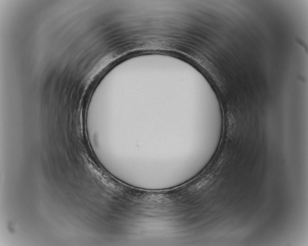 X0000102370982200808221735