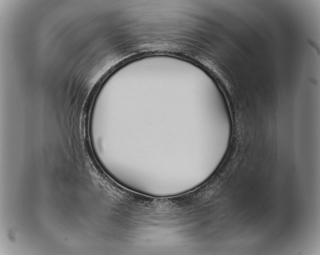 X0000102370983200808221735