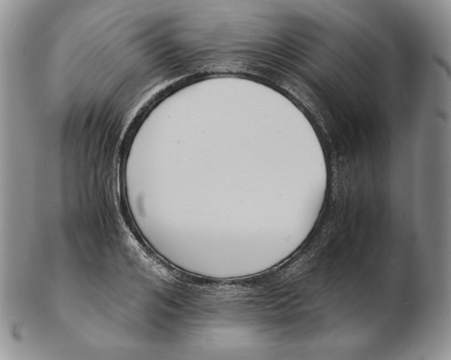 X0000102370984200808221735