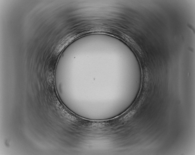 X0000102370985200808221735