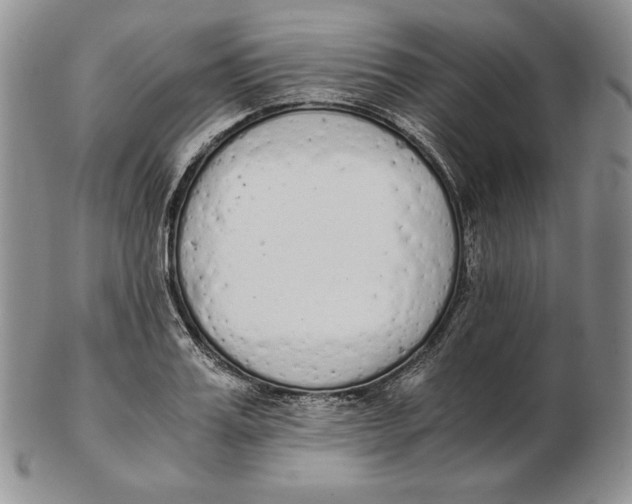 X0000102370987200808221735