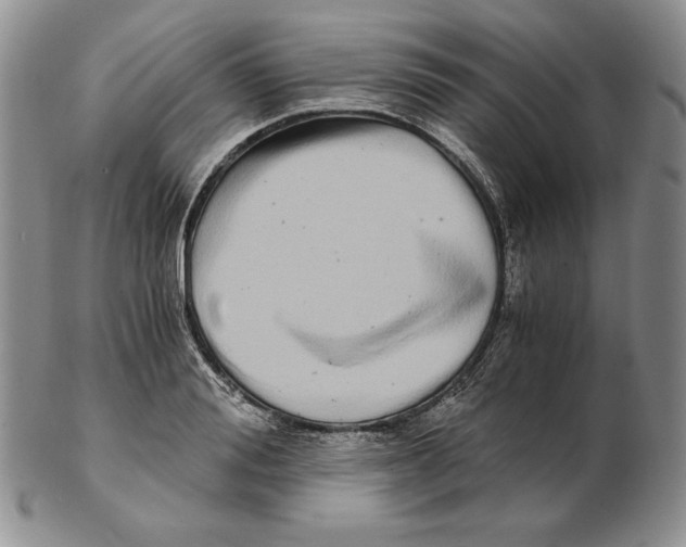 X0000102370988200808221735