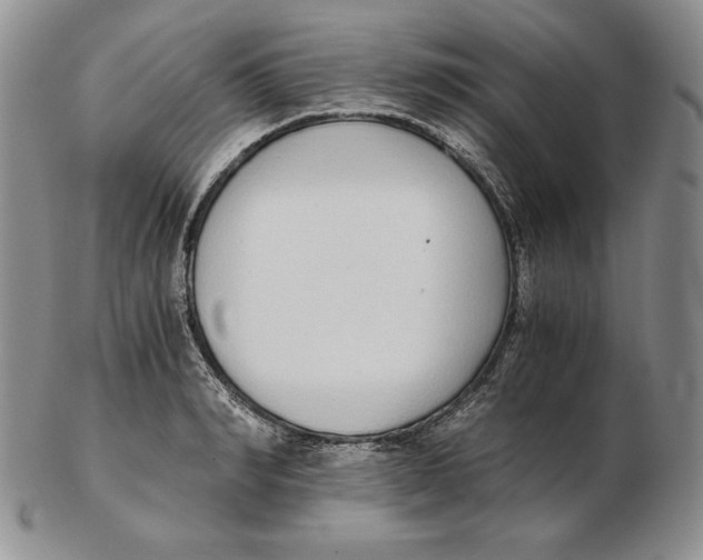 X0000102370990200808221735