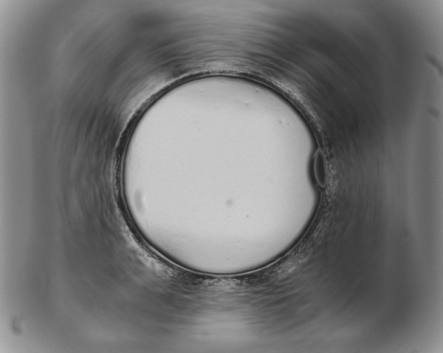 X0000102370991200808221735