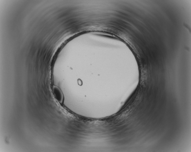 X0000102370992200808221735