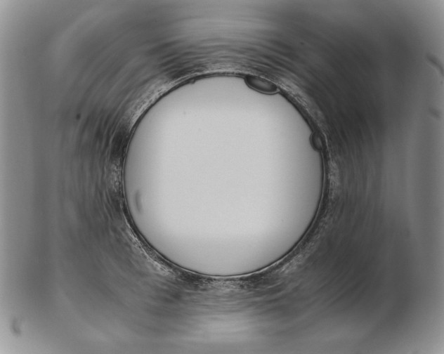 X0000102370993200808221735