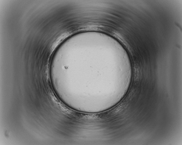 X0000102370994200808221735