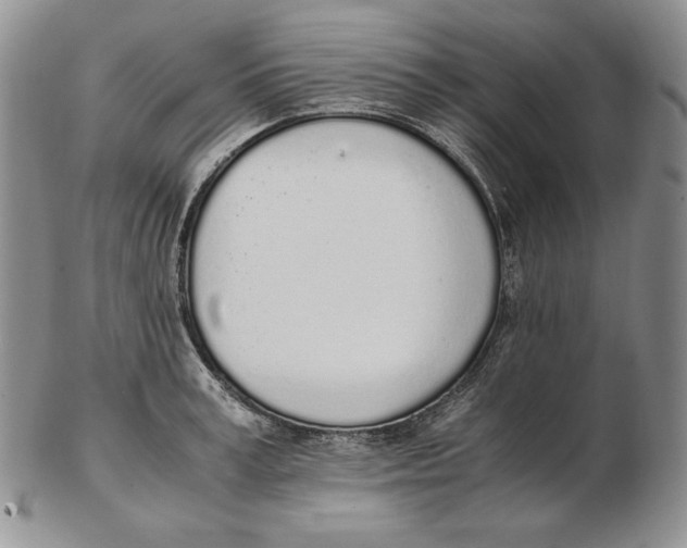 X0000102370995200808221735