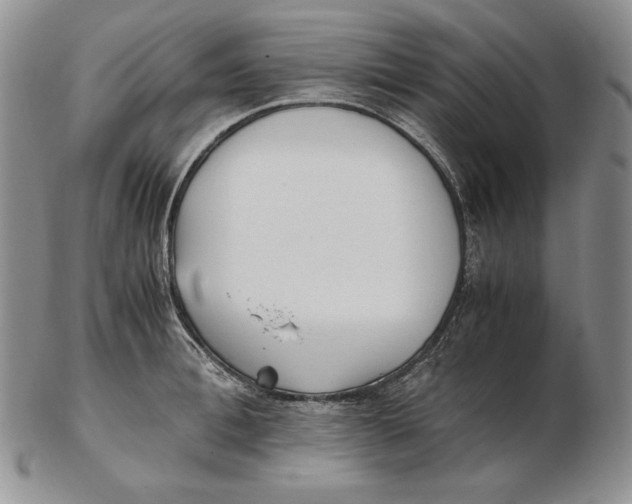 X0000102370996200808221735