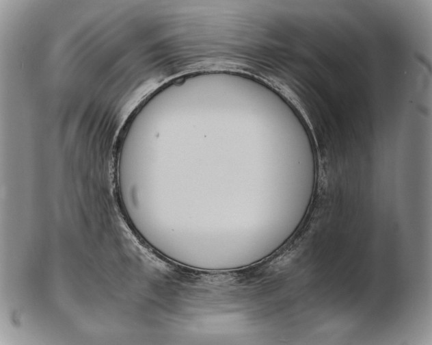 X0000102370997200808221735