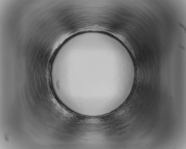 X0000102370998200808221735