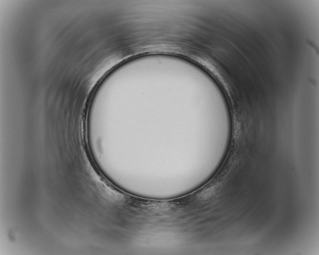 X0000102370999200808221735