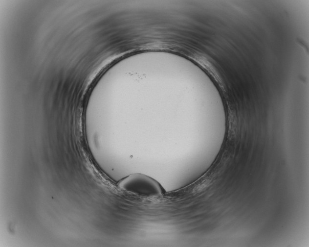 X0000102371000200808221735