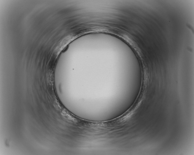 X0000102371001200808221735