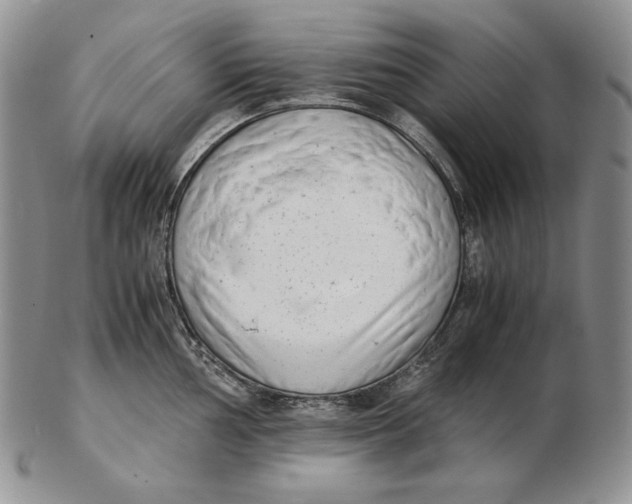 X0000102371002200808221735