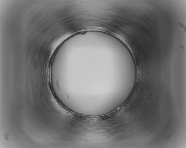 X0000102371003200808221735