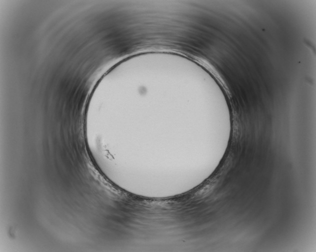 X0000102371004200808221735