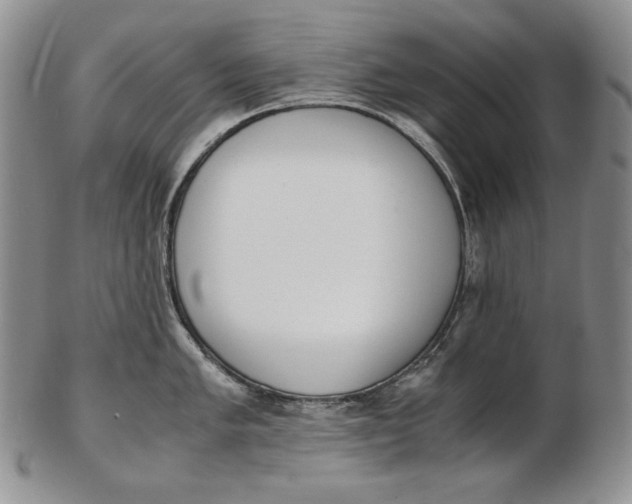 X0000102371005200808221735