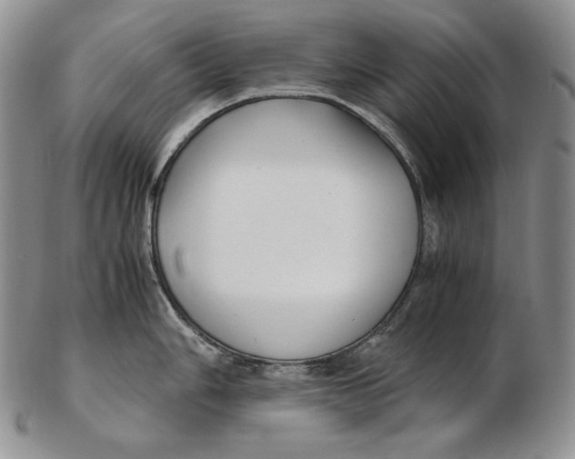 X0000102371006200808221735