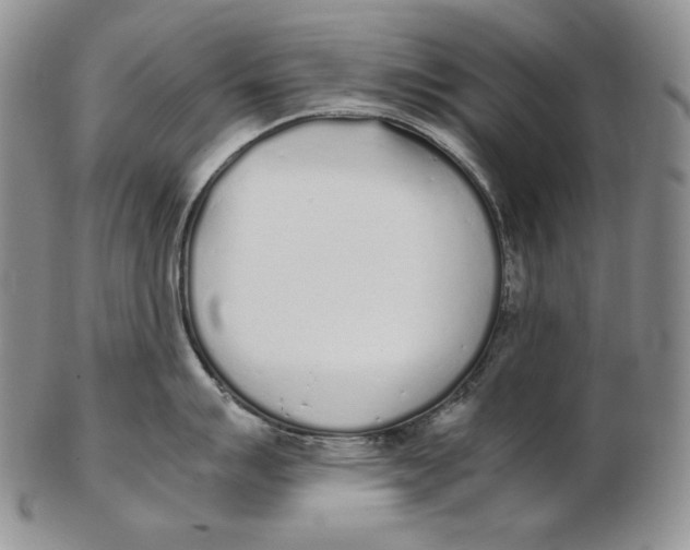 X0000102371007200808221735