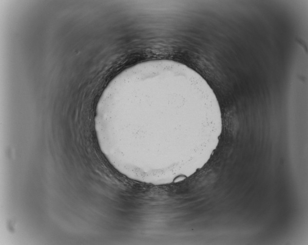 X0000102371009200808221734