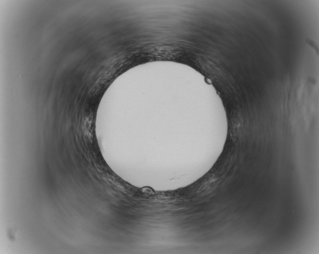 X0000102371010200808221734