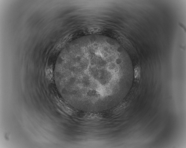 X0000102371011200808221734