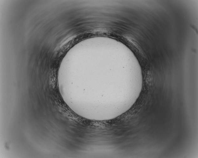 X0000102371015200808221734