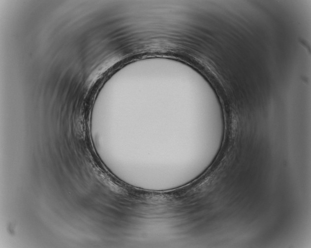 X0000102371018200808221734