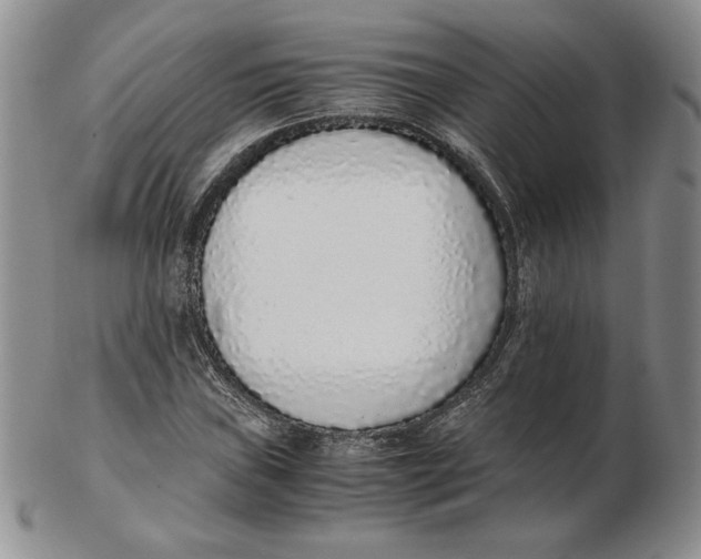 X0000102371019200808221734