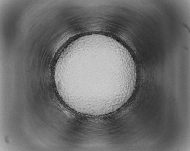 X0000102371023200808221734