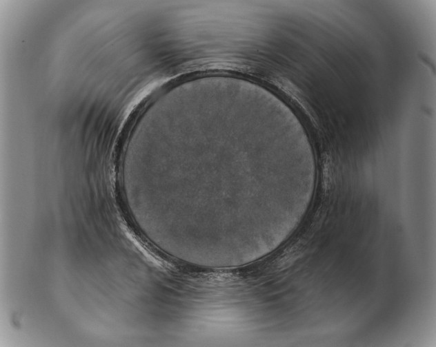 X0000102371024200808221734