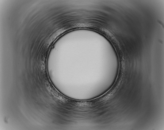 X0000102371025200808221734