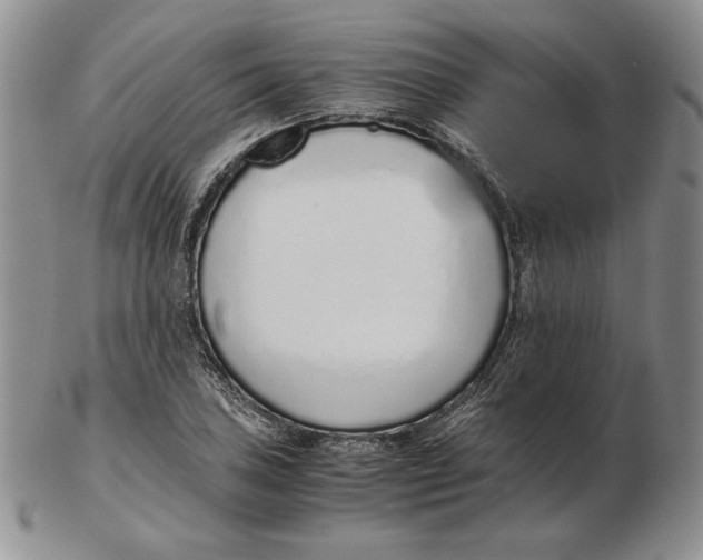 X0000102371027200808221734