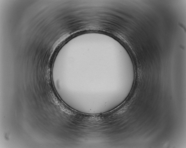 X0000102371029200808221734