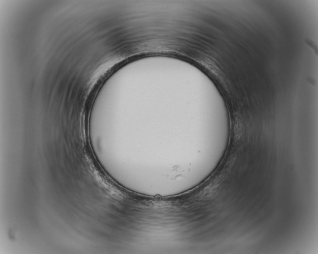 X0000102371030200808221734