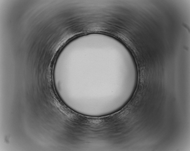 X0000102371031200808221734