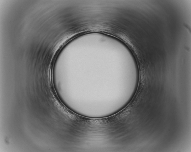 X0000102371032200808221734